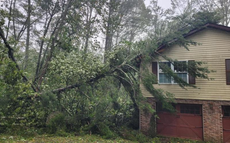 Tree on House after Helene