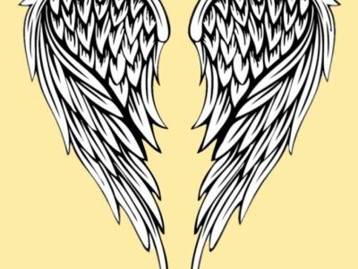 The Angel Baby
